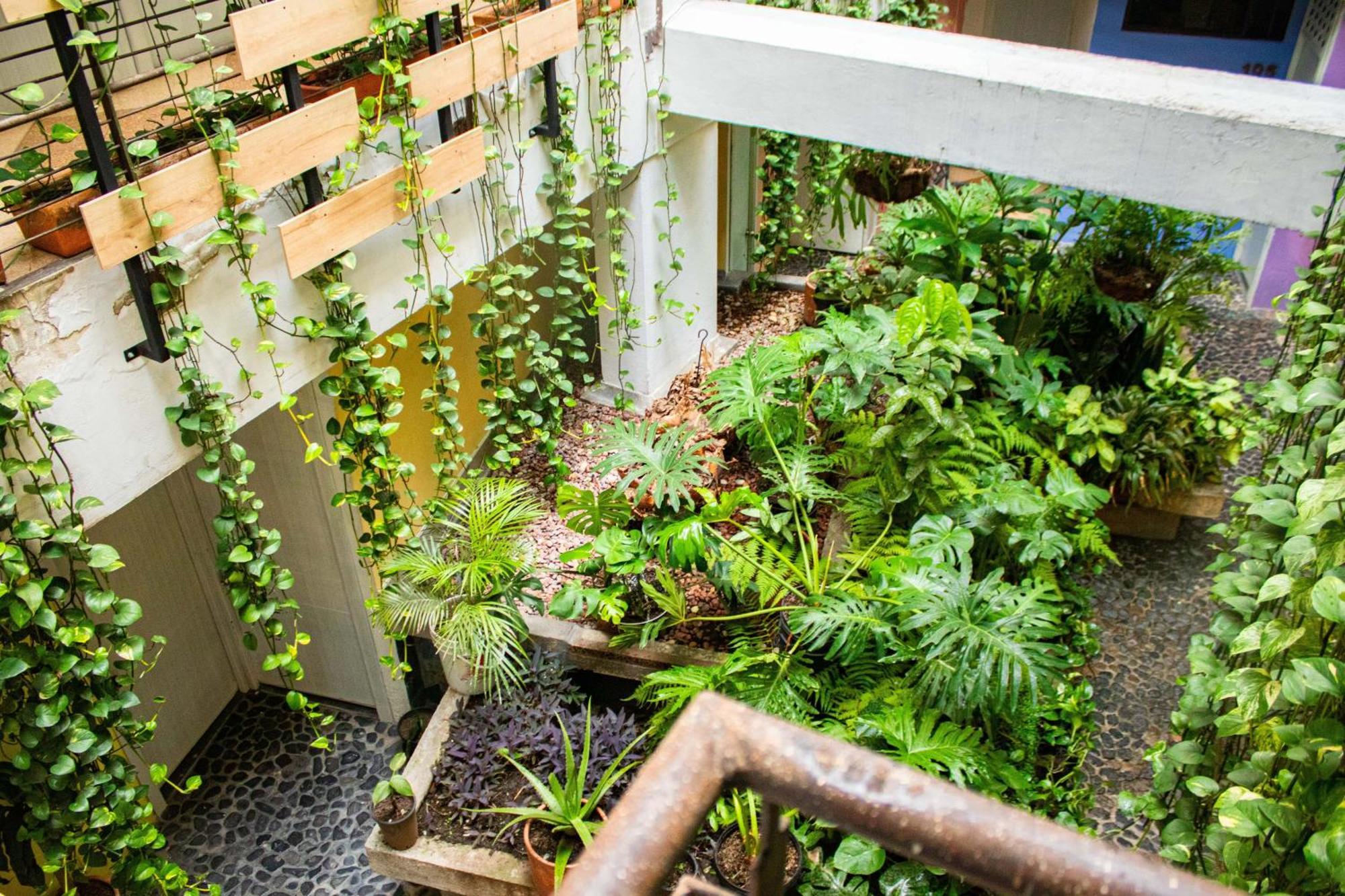 Green Hotel Natural Medellín Esterno foto